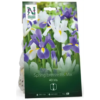 Høstløk regnbueiris Spring breeze Mix