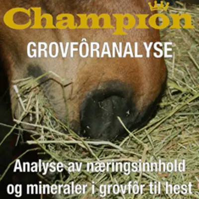 Grovforanalyse, bilde 2