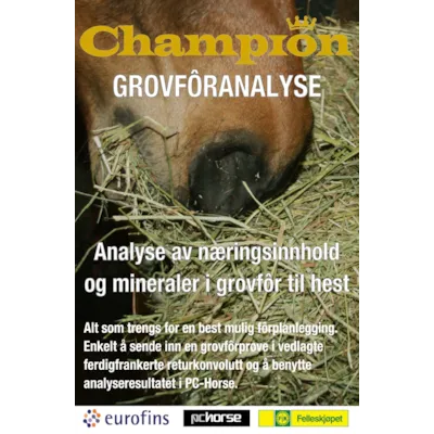 Grovforanalyse