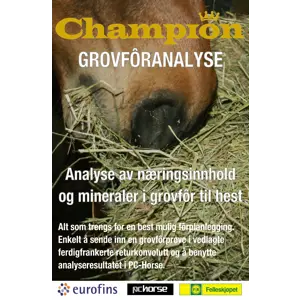 Grovforanalyse