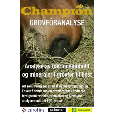 Grovforanalyse