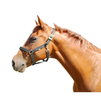 Grime med refleks cob svart