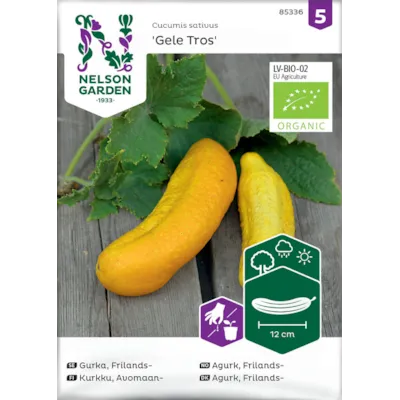Frø frilandsagurk Gele Tros økologisk