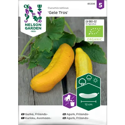 Frø frilandsagurk Gele Tros økologisk