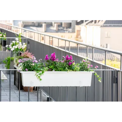 Balkongkasse Botanica 80 cm hvit, bilde 2