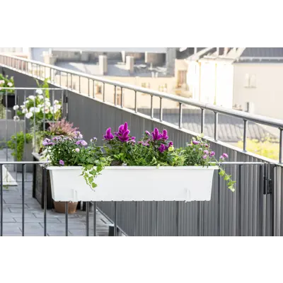 Balkongkasse Botanica 80 cm hvit, bilde 2