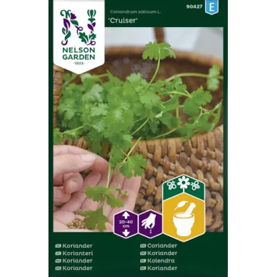 Frø koriander Cruiser