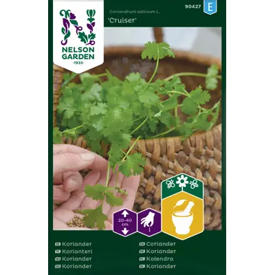 Frø koriander Cruiser   