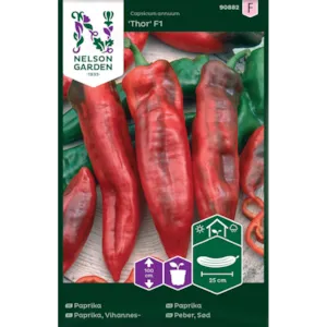Frø paprika Thor