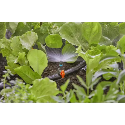 MDS sprederdyse 180°, bilde 2