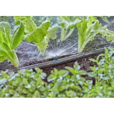 MDS sprederdyse 180°, bilde 3