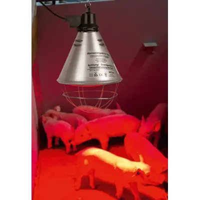 Husdyrarmatur 175W, bilde 2