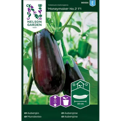 Frø aubergine Moneymaker