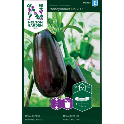 Frø aubergine Moneymaker