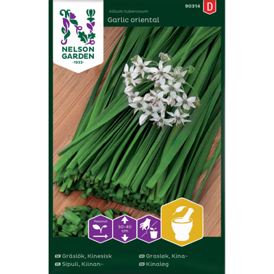 Frø kinagressløk Garlic oriental