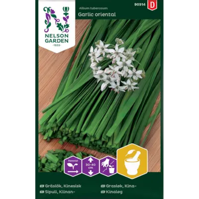 Frø kinagressløk Garlic oriental