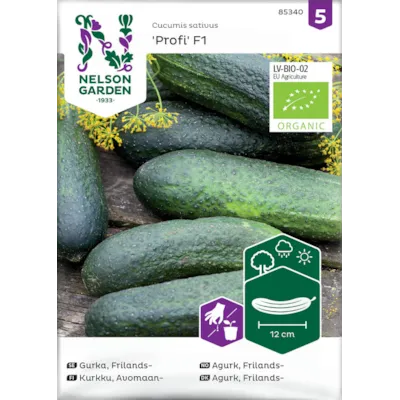 Frø frilandsagurk Profi økologisk