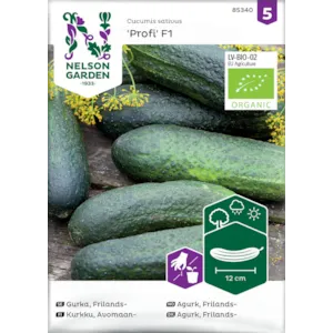 Frø frilandsagurk Profi økologisk