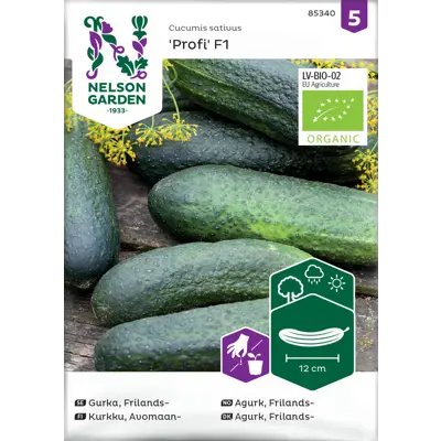Frø frilandsagurk Profi økologisk