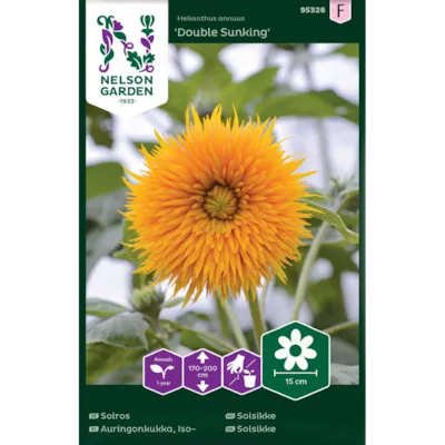 Frø solsikke Double Sunking