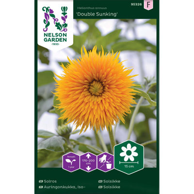 Frø solsikke Double Sunking