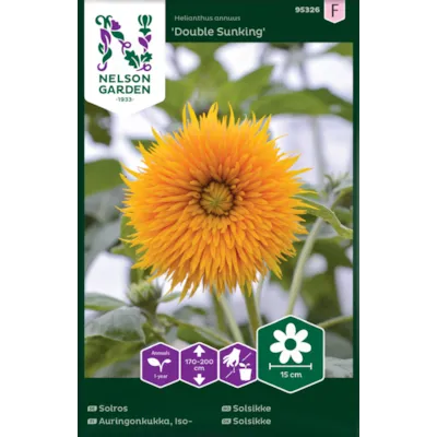 Frø solsikke Double Sunking, bilde 2