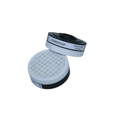 Partikkelfilter P2 - 2 pk