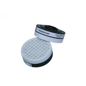 Partikkelfilter P2 - 2 pk