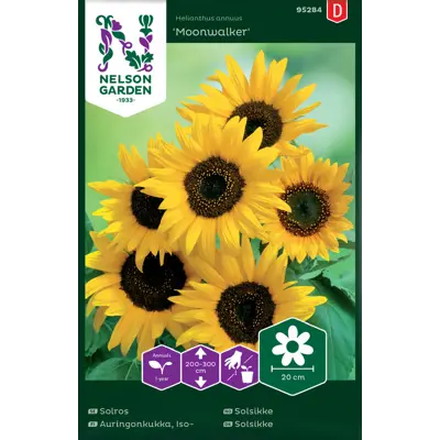 Frø solsikke Moonwalker