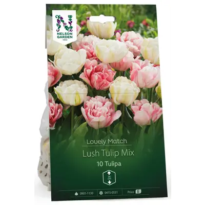 Høstløk tulipan Lush tulip Mix LM