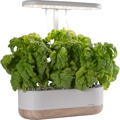 Dyrkingssett Urban Growing P10, bilde 2