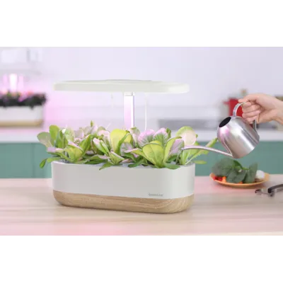 Dyrkingssett Urban Growing P10, bilde 3