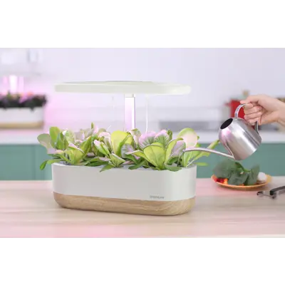 Dyrkingssett Urban Growing P10, bilde 3