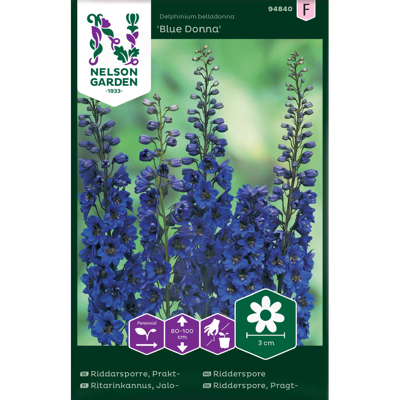 Frø ridderspore Blue Donna