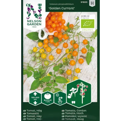 Frø tomat høy Golden Currant økologisk