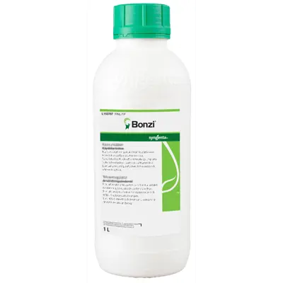 Bonzi 1 L