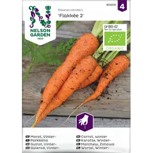 Frø  vintergulrot Flakkée 2 økologisk