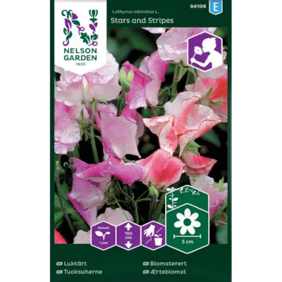 Frø blomsterert Stars and Stripes