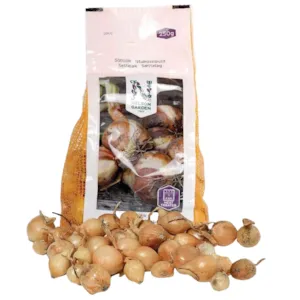 Setteløk gul løk Stuttgarter Riesen 250 g