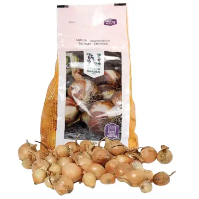 Setteløk gul løk Stuttgarter Riesen 250 g