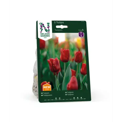 Høstløk tulipan rød