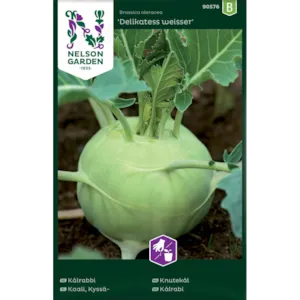 Frø knutekål Delikatess Weisser