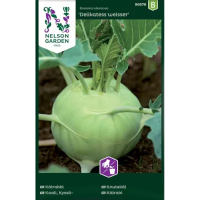 Frø knutekål Delikatess Weisser