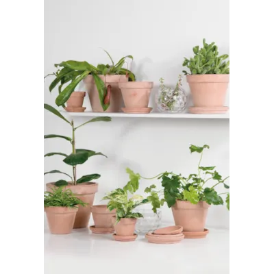 Pottefat Terra antik, bilde 2