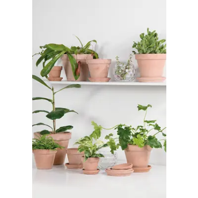 Pottefat Terra antik, bilde 2