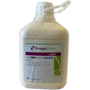 Evagio Forte 5L