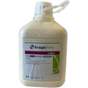 Evagio Forte 5L