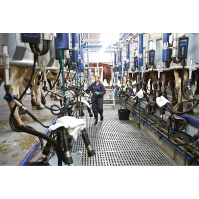 Fiskebeinstaller HB30, bilde 2