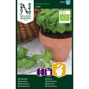 Frø basilikum Loki økologisk