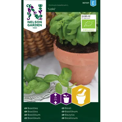 Frø basilikum Loki økologisk